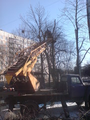 спилить  дерево обрезать ветки  корчевать пень вывоз мусора Харьков