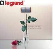 Электроустановочные изделия французкого концерна Legrand. От бюджетных