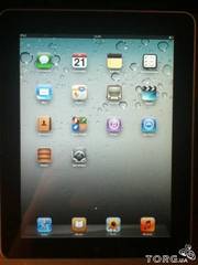 iPad (1 поколение)