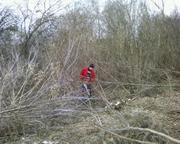 Удаление,  спил,  кронирование деревьев,  очистка участков Харьков