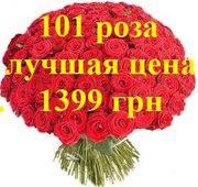 ШОК! Акция!!! Доставка цветов Харьков Букет из 101 розы всего 1399 грн