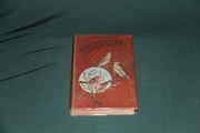 Из царства пернатых. 1899 г.