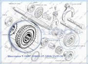 Шестерня Т-16 МГ,  СШ20.37.104А,  Z=31/36,  первичного вала  5 и 6 переда