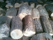 Продаем дрова дуба