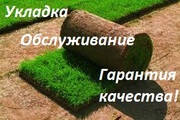 Рулонный газон отличного качества! Продажа и укладка.